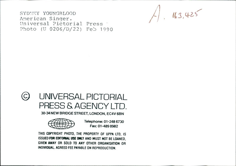 Sydney Youngblood, American singer - Vintage Photograph