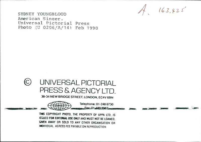 Sydney Youngblood, American singer - Vintage Photograph