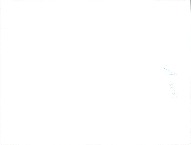 U2 Rock band - Vintage Photograph