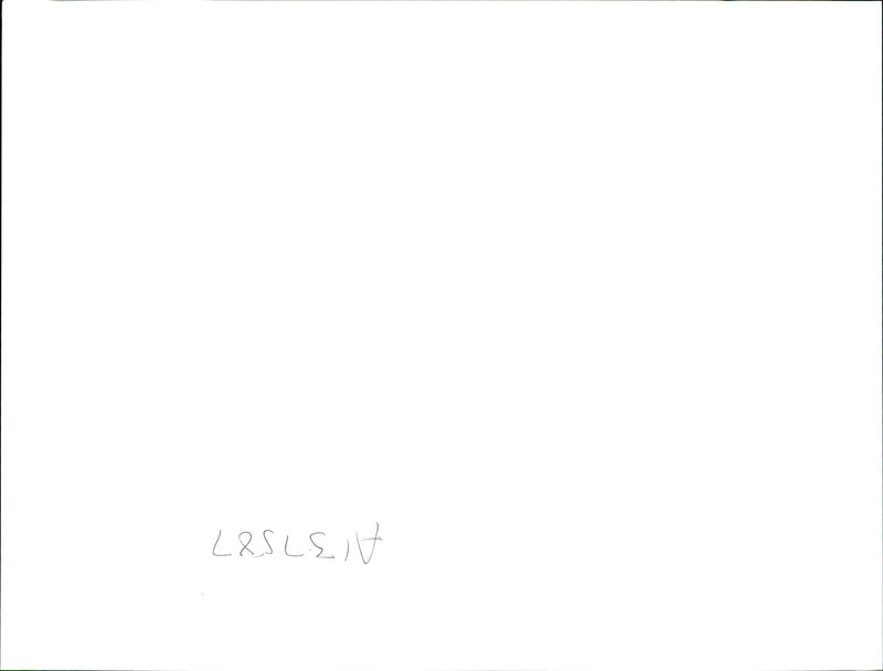 U2 Rock band - Vintage Photograph