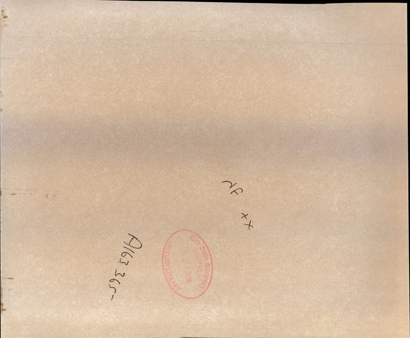 1990 PAMELA NOONE CHEADLE CHESHIRE WAS MURDERED CONVICTED KILLER TONALD - Vintage Photograph