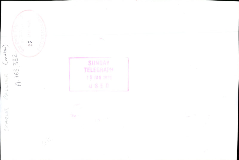 PALLISER WRITER TELEGRAPH SUNDAY XPALLISER EDI CHARLES - Vintage Photograph