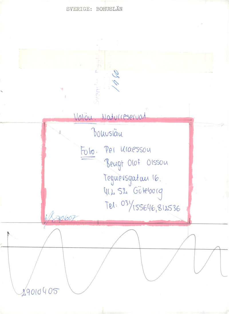 ValÃ¶n Nature Reserve in BohuslÃ¤n - Vintage Photograph