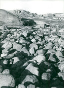 ValÃ¶n Nature Reserve in BohuslÃ¤n - Vintage Photograph