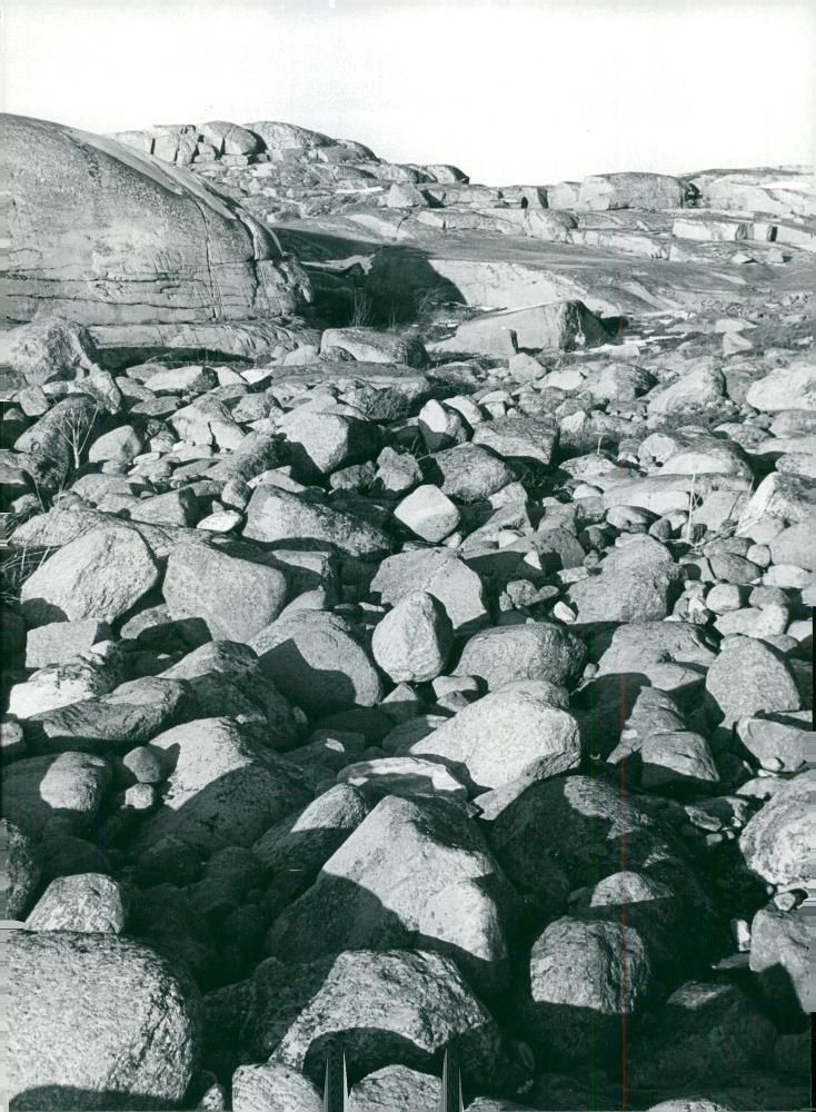 ValÃ¶n Nature Reserve in BohuslÃ¤n - Vintage Photograph