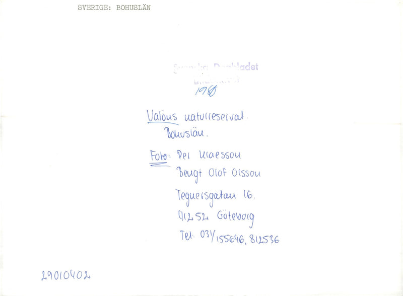 Valön's nature reserve in Bohuslän - Vintage Photograph