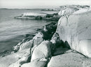 Valön's nature reserve in Bohuslän - Vintage Photograph