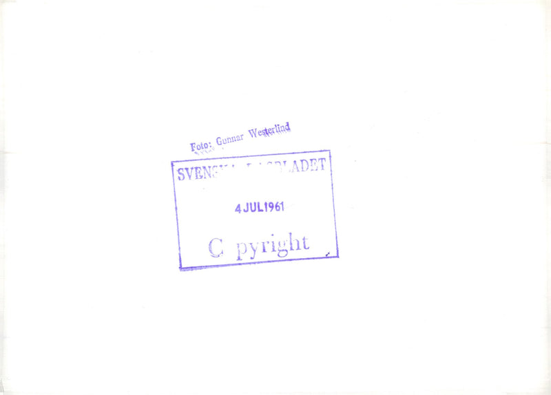 Camping on a meadow - Vintage Photograph