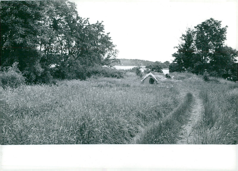 Camping on a meadow - Vintage Photograph