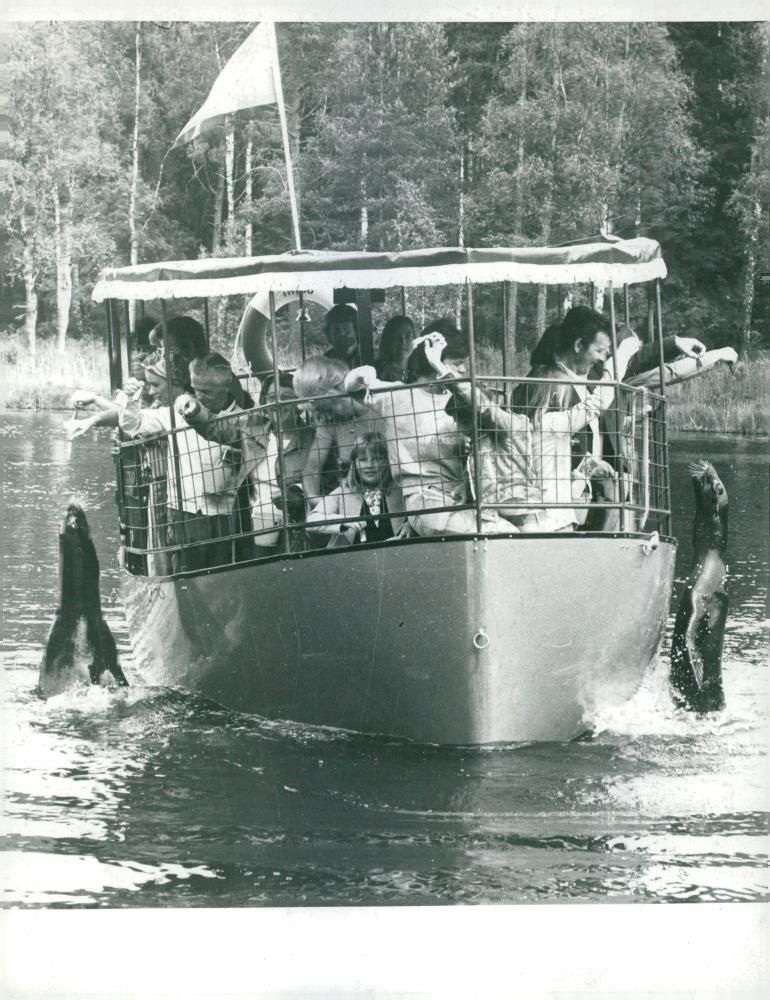 Feed the seals from a boat - Vintage Photograph