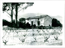 Sir Duncan Oppenheim: Winter Landscape in Provence. - Vintage Photograph