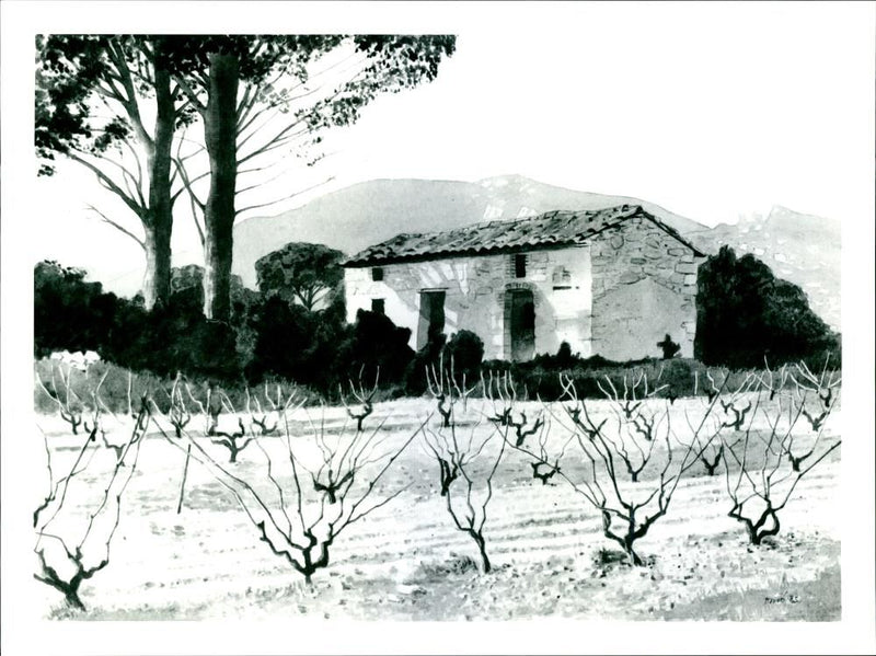 Sir Duncan Oppenheim: Winter Landscape in Provence. - Vintage Photograph