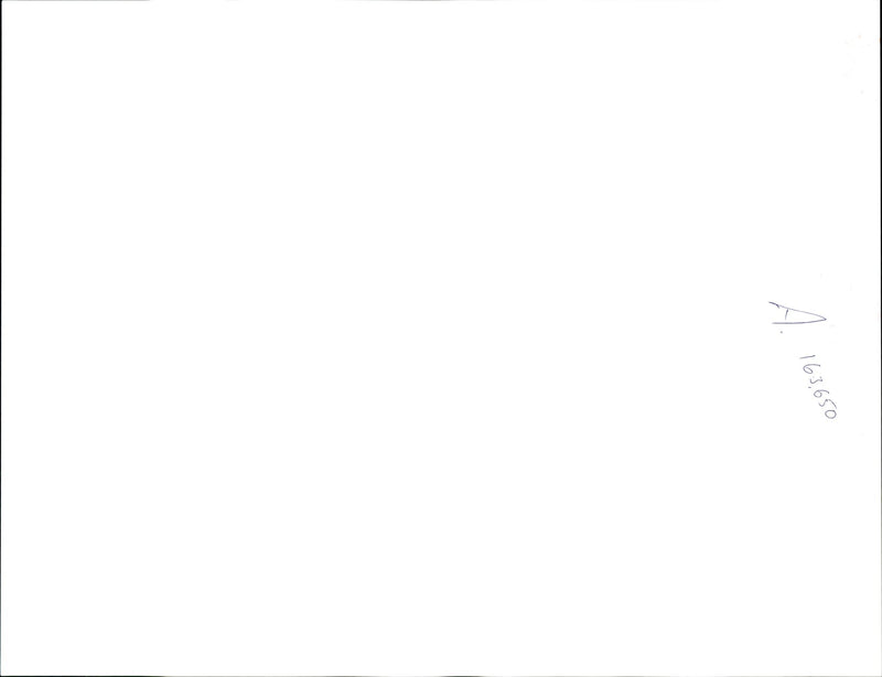 1993 ANN MING THE MOTHER MURDER VICTIM JULIE HOGG WAS FOUND DEAD - Vintage Photograph