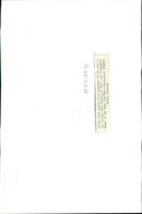 TWO DAY BATH FESTIVAL BLUES AND PROGRESSIVE MUSIC THE WEST - Vintage Photograph