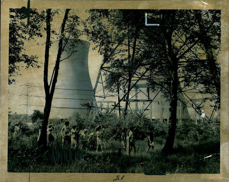 THE NATURE TRAIL PART FIELD STUDY CENTRE SET MARGIN BURTON - Vintage Photograph