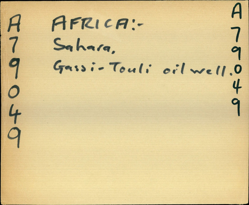 Judith Durham, Australian singer and musician - Vintage Photograph