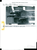 1993 MARK TILDESLEY WENT MISSING AFTER HEARING THE NEWS MURDER LES JOHN - Vintage Photograph