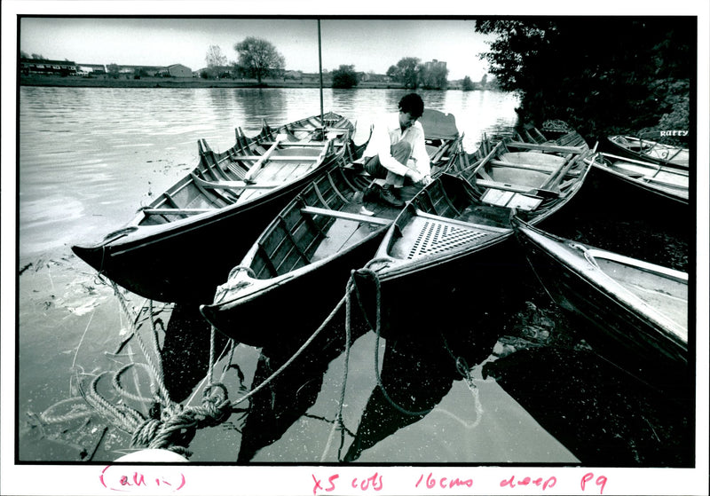 Skiffs Boats - Vintage Photograph