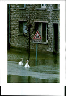 1995 LEAF PICTURE DESK PROOFING PRINTER DAT JERRY LAMPEN WRITER COUNTRY - Vintage Photograph