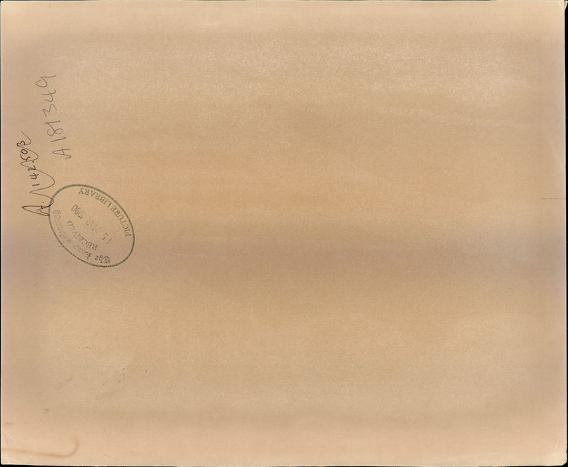 1990 CALYX PHOTO SERVICES CHURCHWARD AVENUE SWINDON TELEPHONE NEIL TRIAWSON - Vintage Photograph