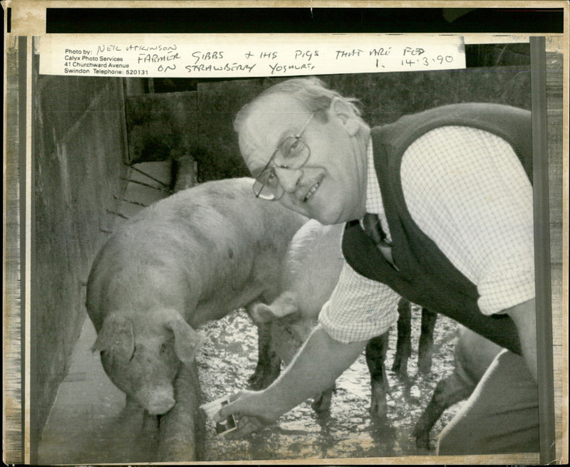 1990 CALYX PHOTO SERVICES CHURCHWARD AVENUE SWINDON TELEPHONE NEIL TRIAWSON - Vintage Photograph