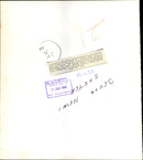 Bird: Blackbird - Vintage Photograph