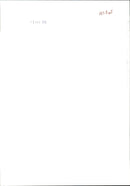 flock of Zebras - Vintage Photograph