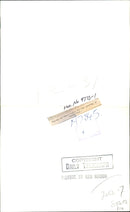 One-day-old Maria Zebra - Vintage Photograph