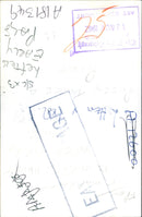 Animal Pig - Vintage Photograph