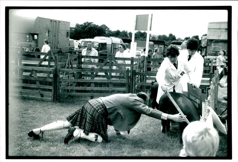 Animal Pig - Vintage Photograph