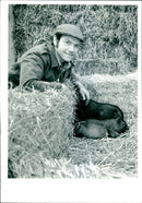 Animal Pig - Vintage Photograph