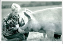 Animal Pig - Vintage Photograph