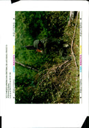 1995 SCC MEXICO UPRISING SAN CRISTOBAL LAS CASAS PICTURES ARMY WRITER NATIONAL - Vintage Photograph