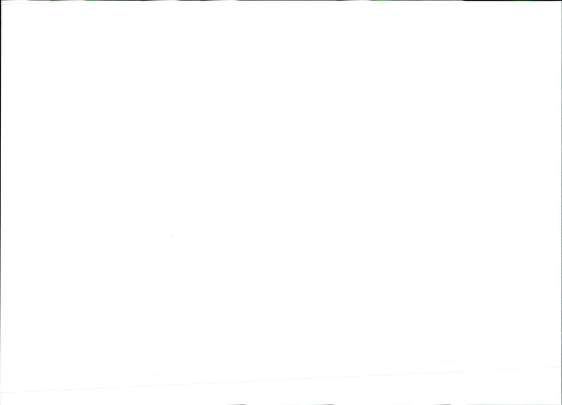 1994 HASSAN SHATANAWI FOUND GUILTY MURDERING HIS WIFE BONN DENO LAURA - Vintage Photograph