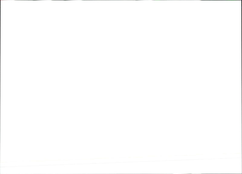 1994 LAURA MAY SHATANAWI MURDERED HER HUSBAND WHO THEN SAID SHE HAD LEF DENO - Vintage Photograph