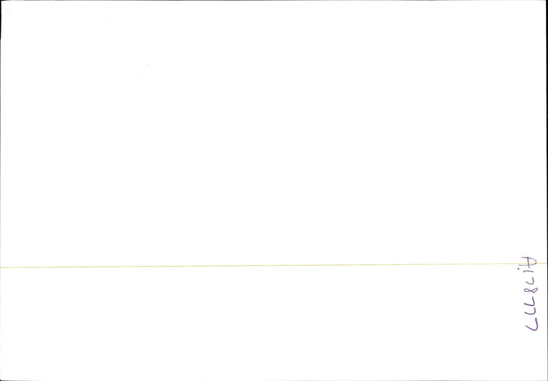 1993 PERRY BRADLEY III PETER WALKER CHRISTOPHER DUNN ANDREW COLLIER EMANUEL - Vintage Photograph