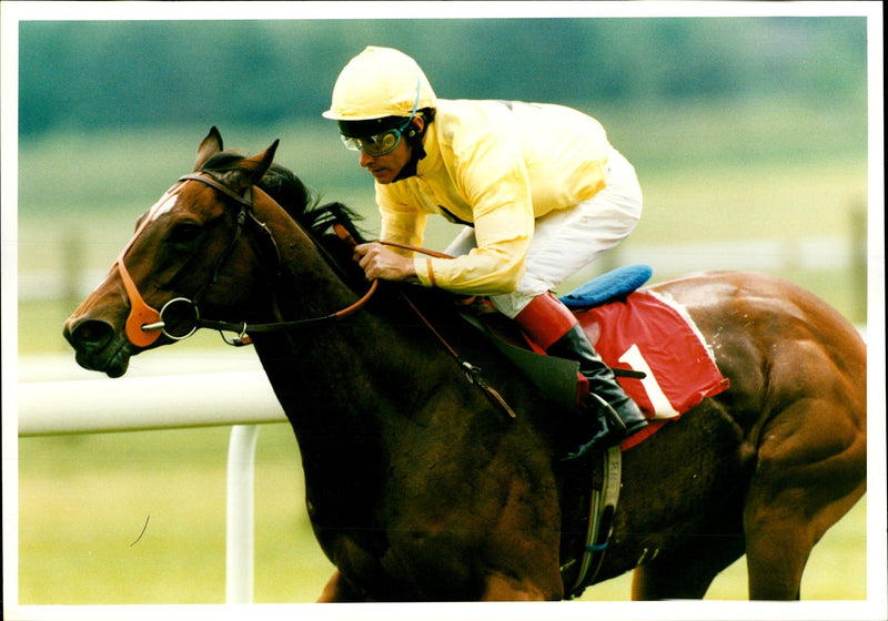 Pat Eddery - Vintage Photograph