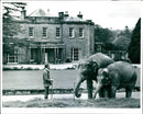 St. Thomas House Park in Somerset. - Vintage Photograph