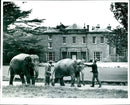 St. Thomas House Park in Somerset. - Vintage Photograph
