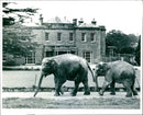 St. Thomas House Park in Somerset. - Vintage Photograph