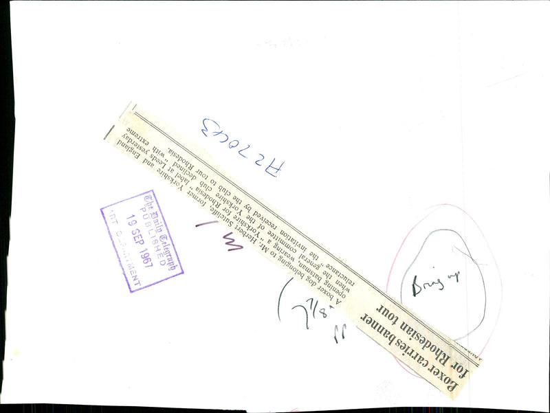 The boxer dog belonging to cricketer Herbert Sutcliffe - Vintage Photograph