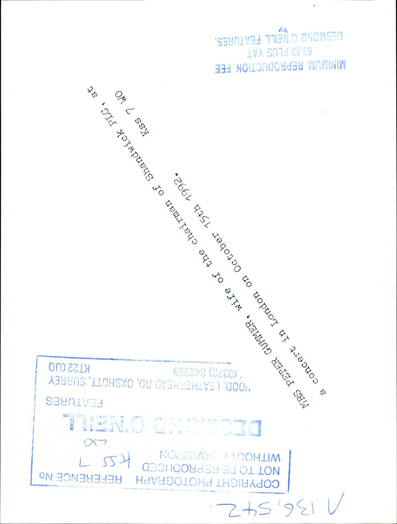 1992 MRS PETER GUMMER DICRAE ONEILL WIFE CONCERT - Vintage Photograph