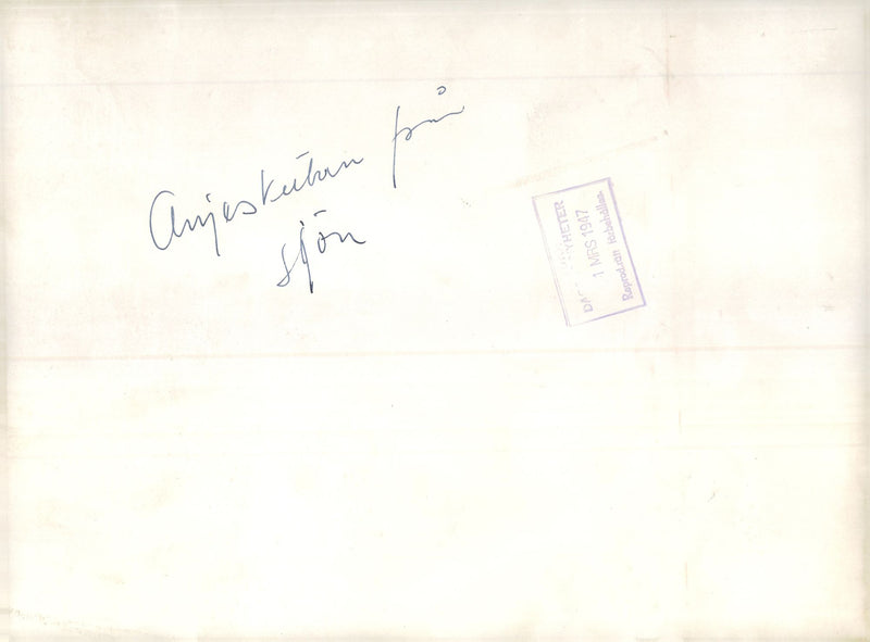 Anise shooter from the lake - Vintage Photograph