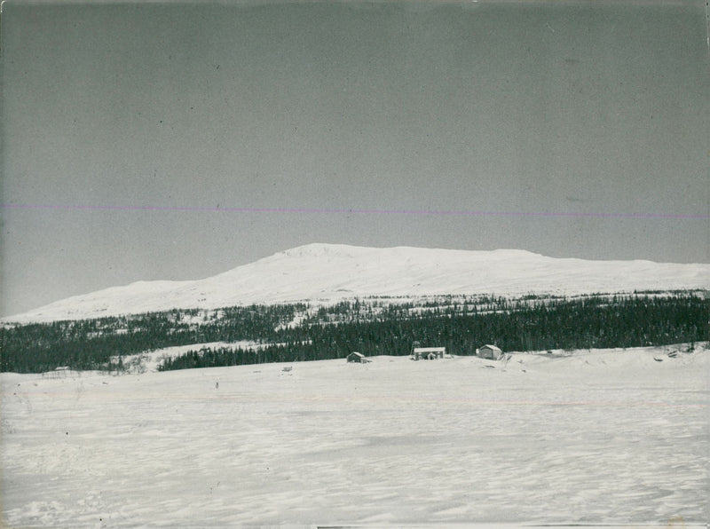 Anise shooter from the lake - Vintage Photograph