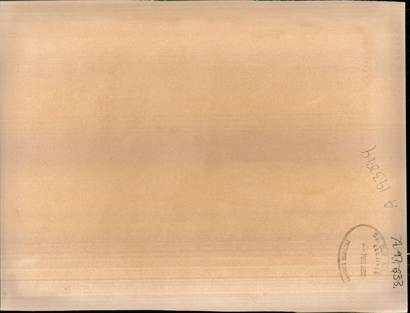 1998 THE ANTIBLOOD LUST CAMPAIGN STOP USE BOLTON PRESS - Vintage Photograph