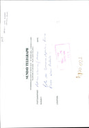 Doñana National Park. - Vintage Photograph