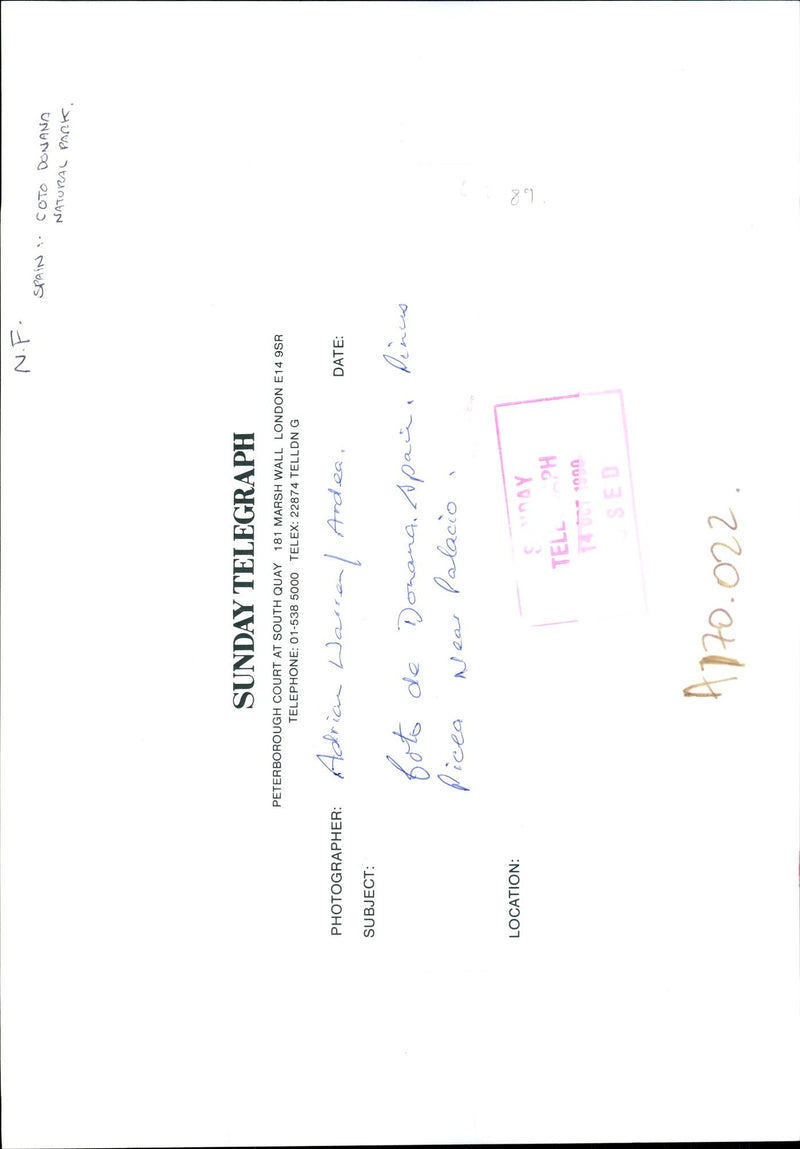 Doñana National Park. - Vintage Photograph