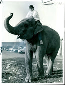 Footballer Gary Mabbutt with a circus elephant - Vintage Photograph