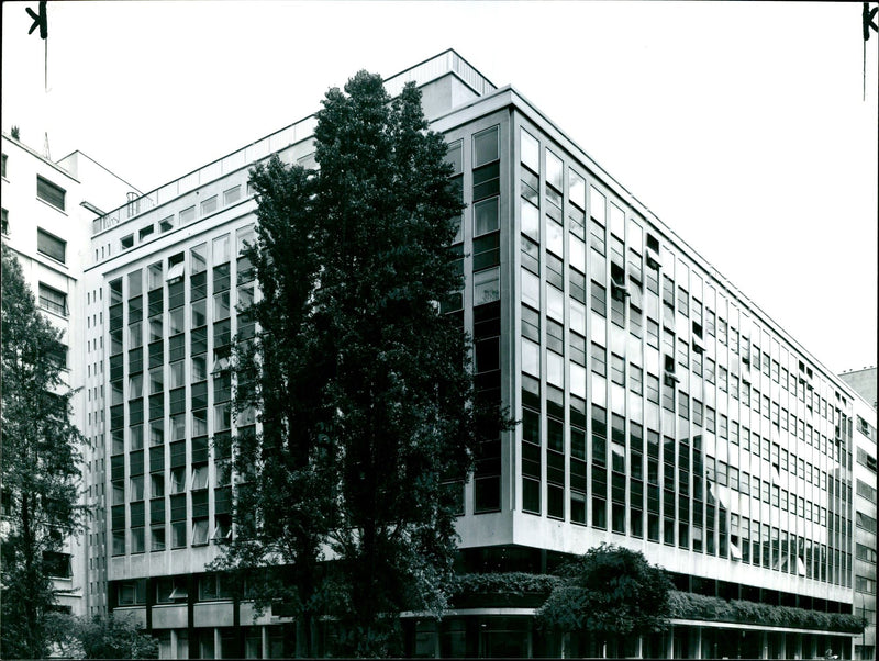 France: Avenue Montaigne, Paris - Vintage Photograph