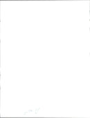 Police Captain Stands Between Two Lines of Riot Police - Vintage Photograph